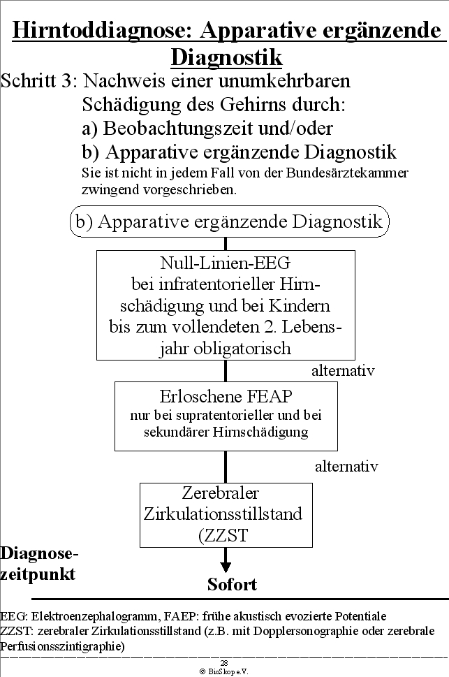 Hirntoddiagnose: Apparative erg�nzende Diagnostik