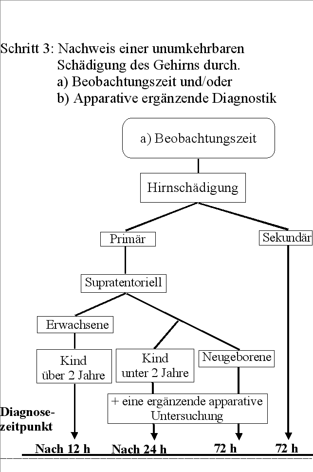 Hirntoddiagnose: Beobachtungszeiten